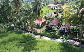 Damuh Pertivi, River And Rice Fields View